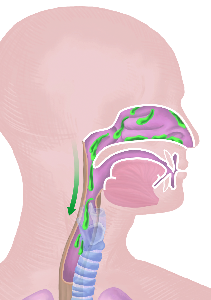 Post-Nasal-Drip