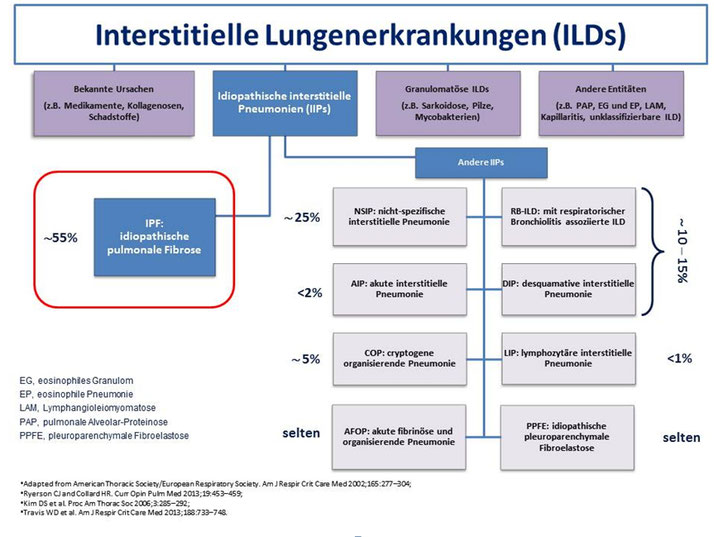 Klassifikation der Lungenfibrose